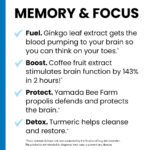 NeuroQ Memory Focus benefits