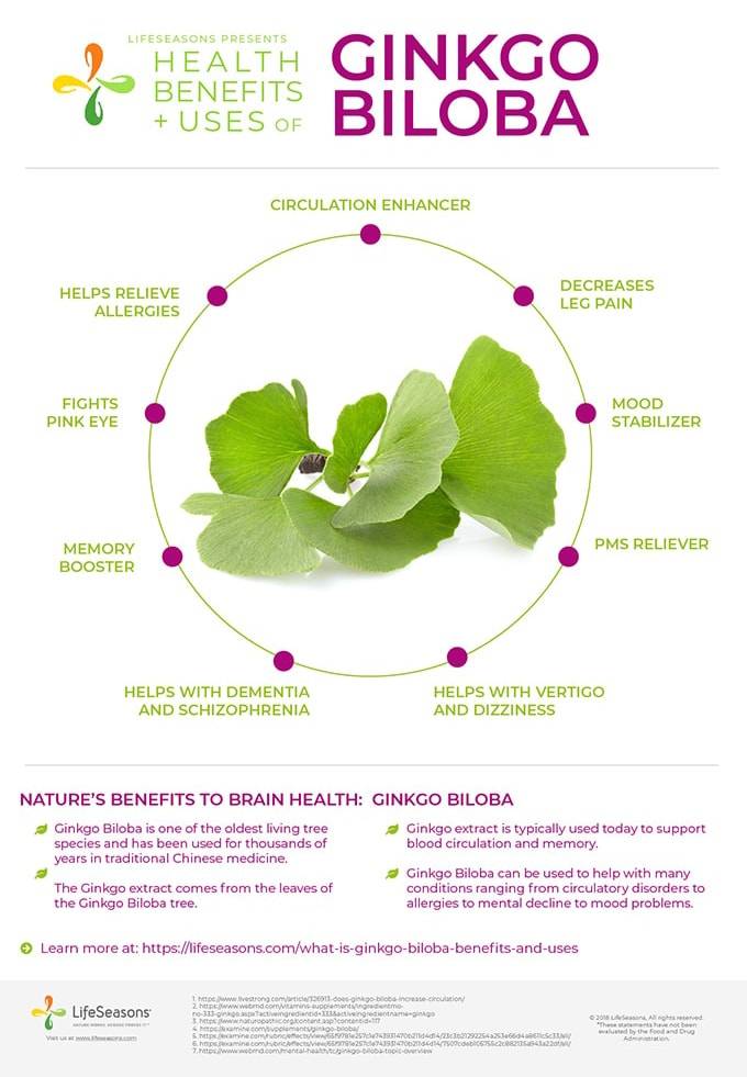 Ginkgo Bilboa health benefits and uses