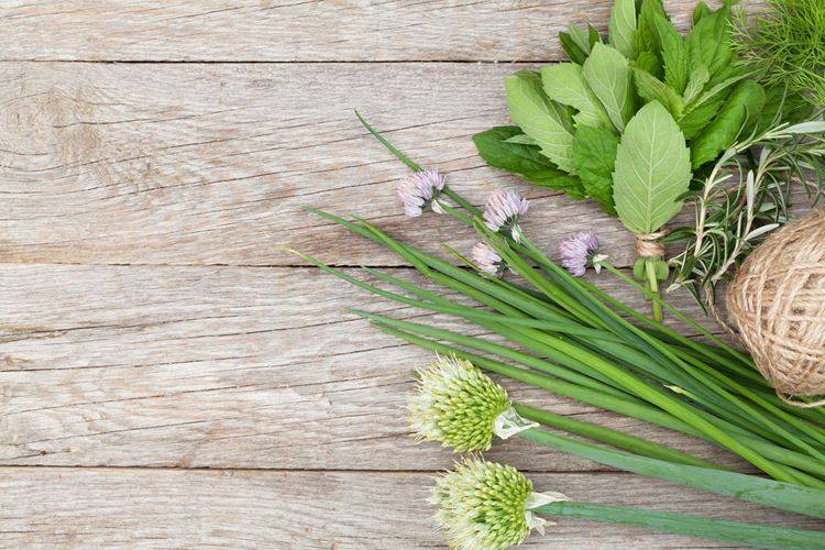 Boost Your Health with a Key Adaptogens List