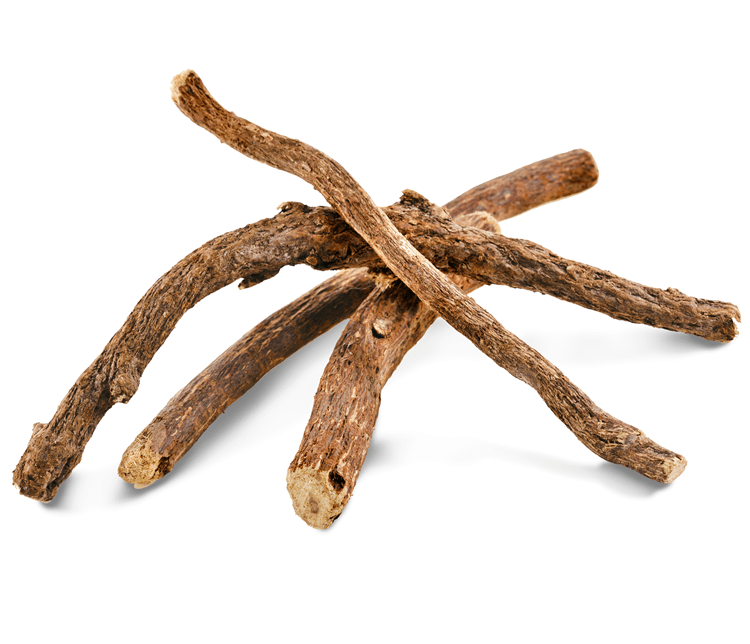 Learn Ashwagandha Health Benefits, Usages & The Story of Ashwagandha